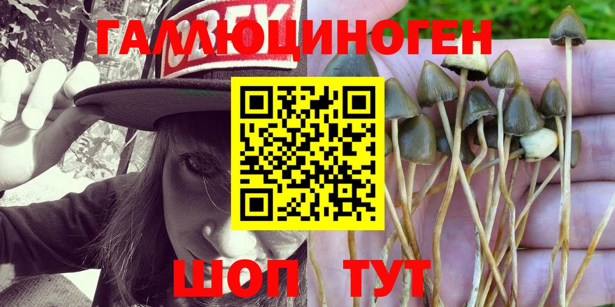 Керчь  Галлюциногенные грибы Magic Shrooms  Псилоцибиновые грибы ЛСД  Вход с VPN 